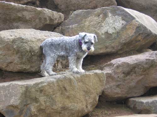 Tori likes to climb rock walls