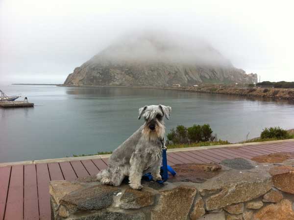 Carys in Morro Bay, CA