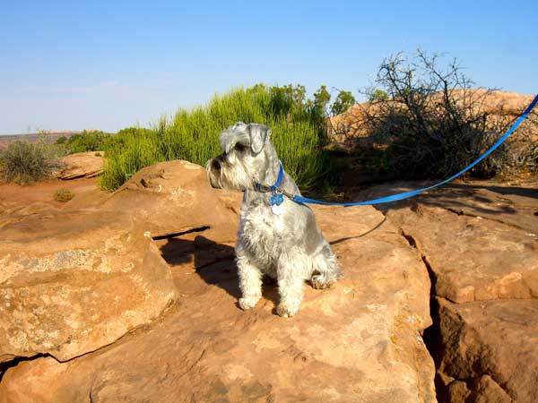 Carys at a Utah Park