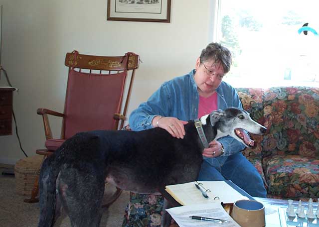 West, Cooper's greyhound sister, with Bobbie