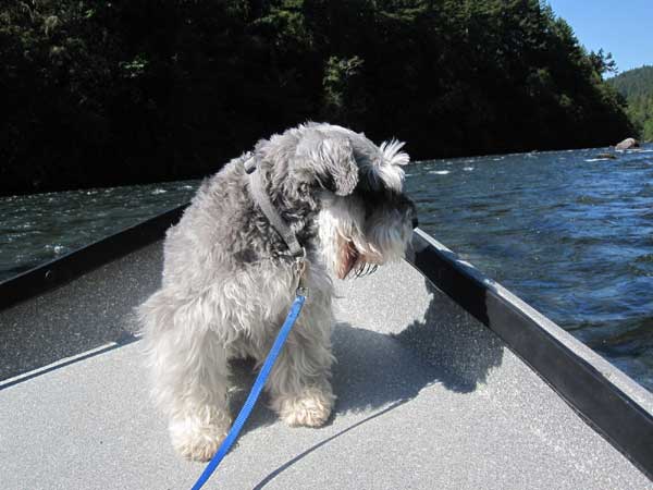 Dudley drift boating. . .