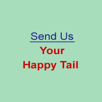 Send us your happy tail