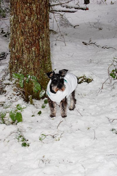 Klaus sporting her alpine jacket at the cabin