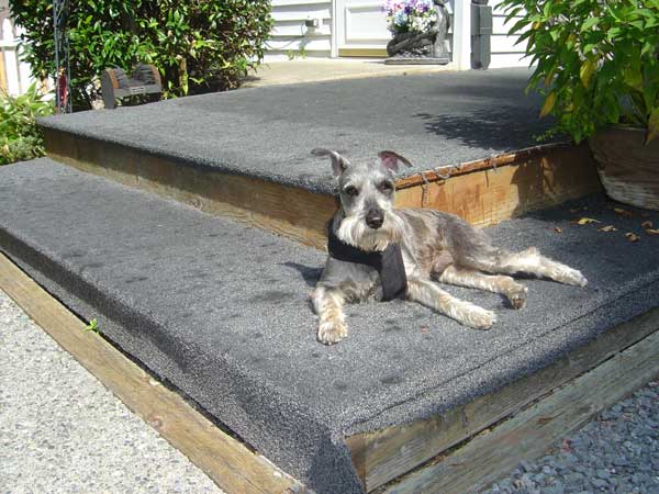 Rickie guards the front door and gets some sun