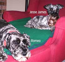 Romeo and Jesse James
